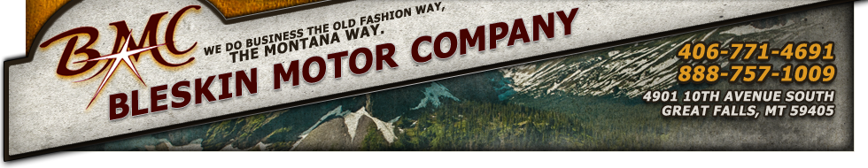 Bleskin Motor Company 