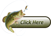 Fishing Form